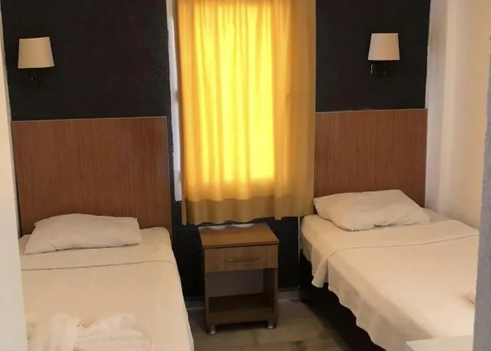 Kilavuz *